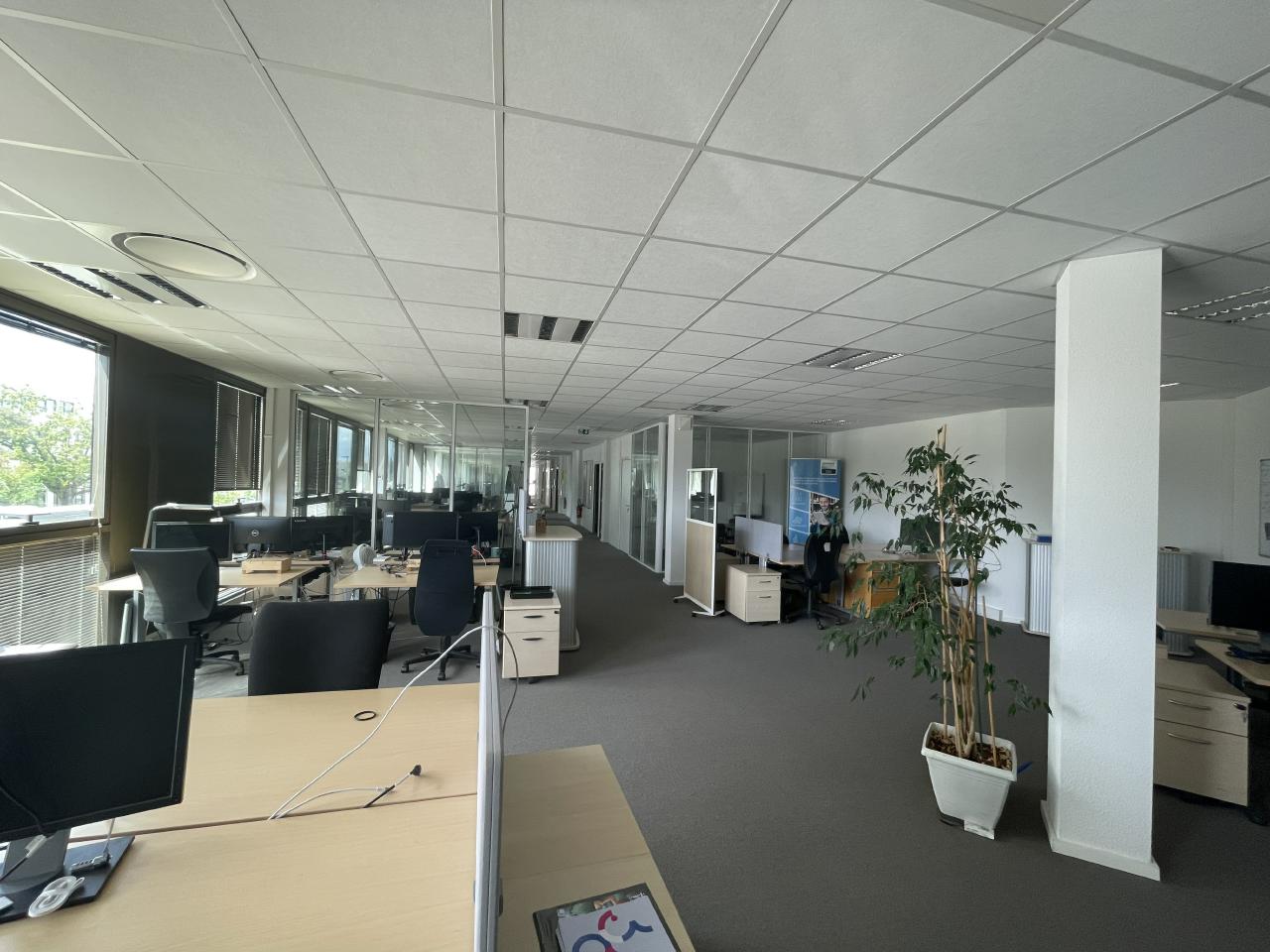 Bureau Pessac 439m² Location bureau Pessac Gironde OLBUR2422772 5